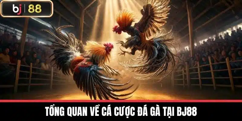 Tổng quan về cá cược đá gà tại BJ88