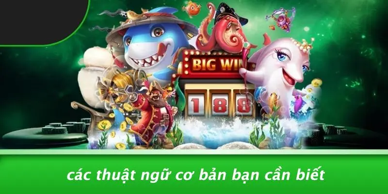 Các Thuật Ngữ Cơ Bản Bạn Cần Biết
