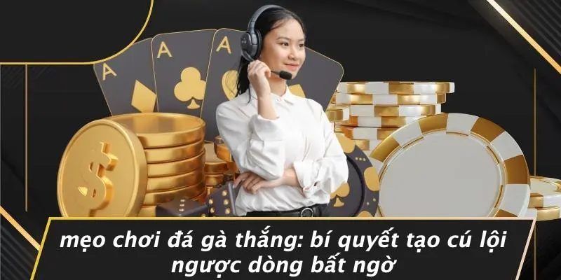 MẸO CHƠI ĐÁ GÀ THẮNG: BÍ QUYẾT TẠO CÚ LỘI NGƯỢC DÒNG BẤT NGỜ