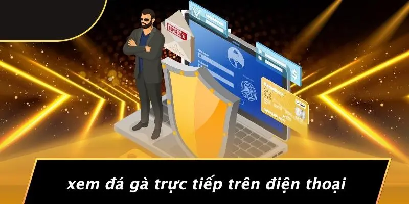 Xem Đá Gà Trực Tiếp Trên Điện Thoại